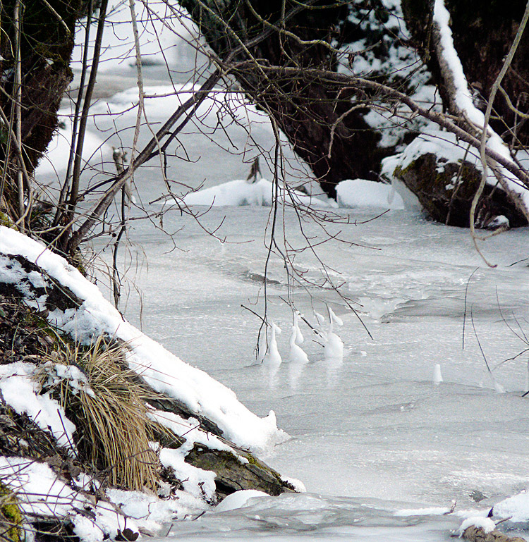 Eiswelt am Dorfbach I