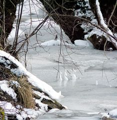 Eiswelt am Dorfbach I