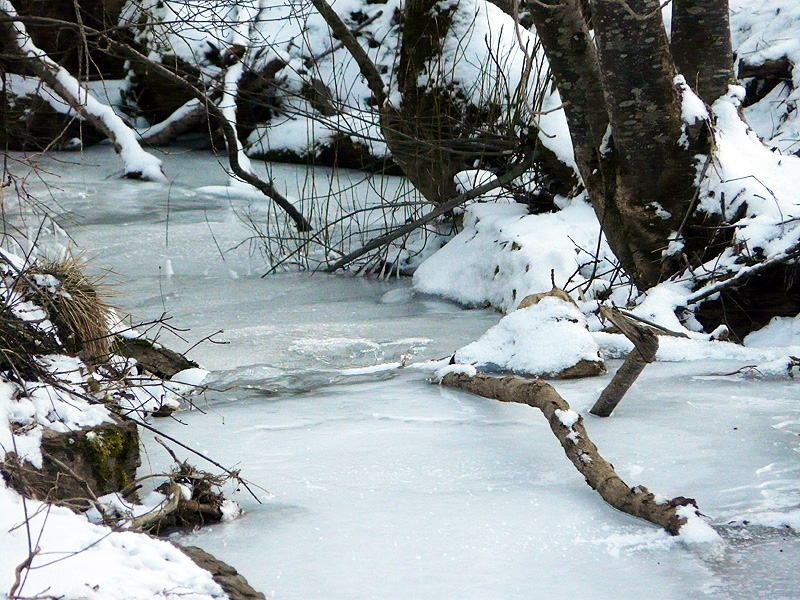 Eiswelt am Dorfbach II