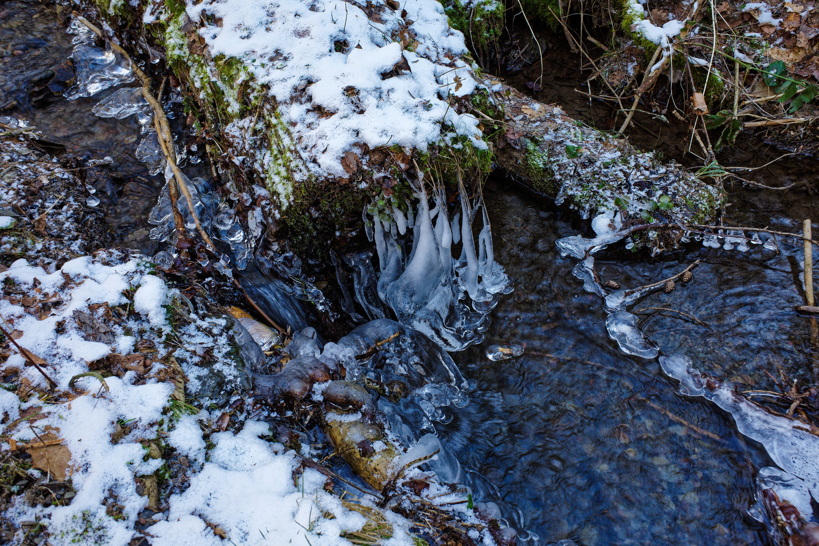 Eiswelt am Waldbach  (2)