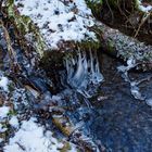 Eiswelt am Waldbach  (2)