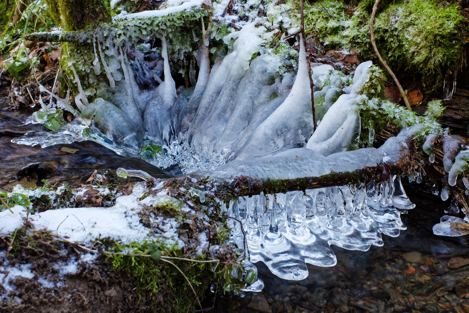 Eiswelt am Waldbach