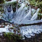 Eiswelt am Waldbach