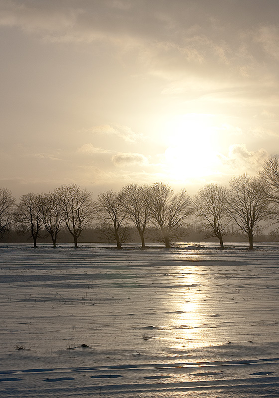 Eiswelt