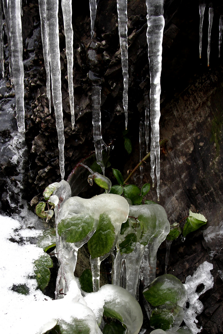 Eiswelt