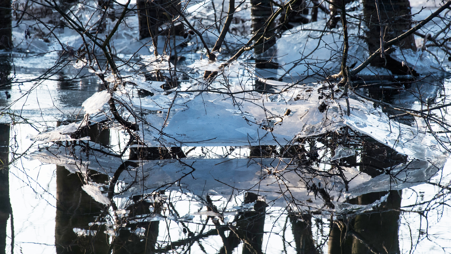 Eiswelt - gespiegelt