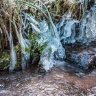 Eiswelten am Bachlauf (2)