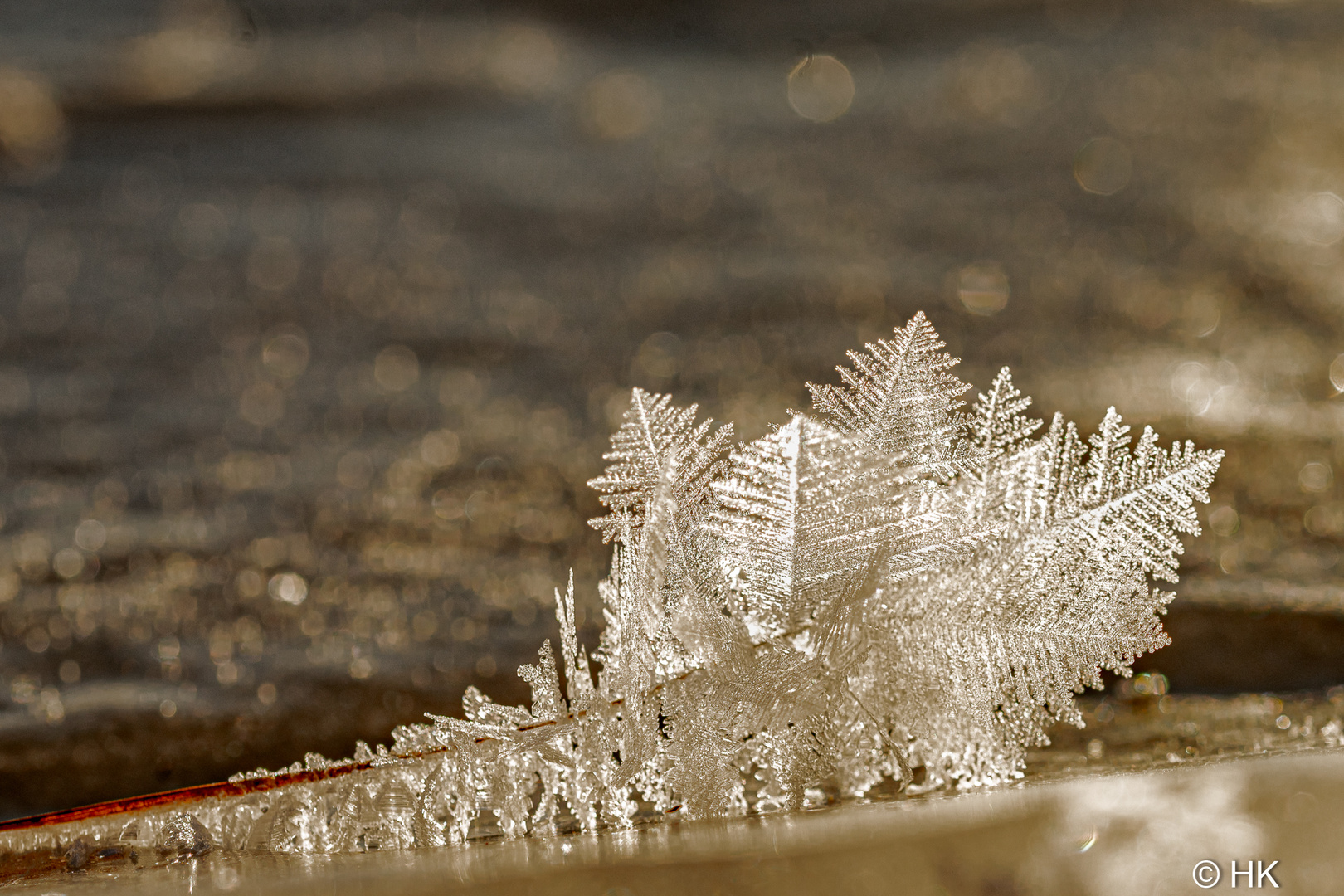 Eiswelten am Ufer