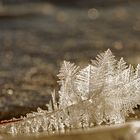 Eiswelten am Ufer