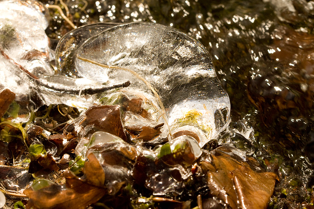 Eiswelten / Fallenbach II