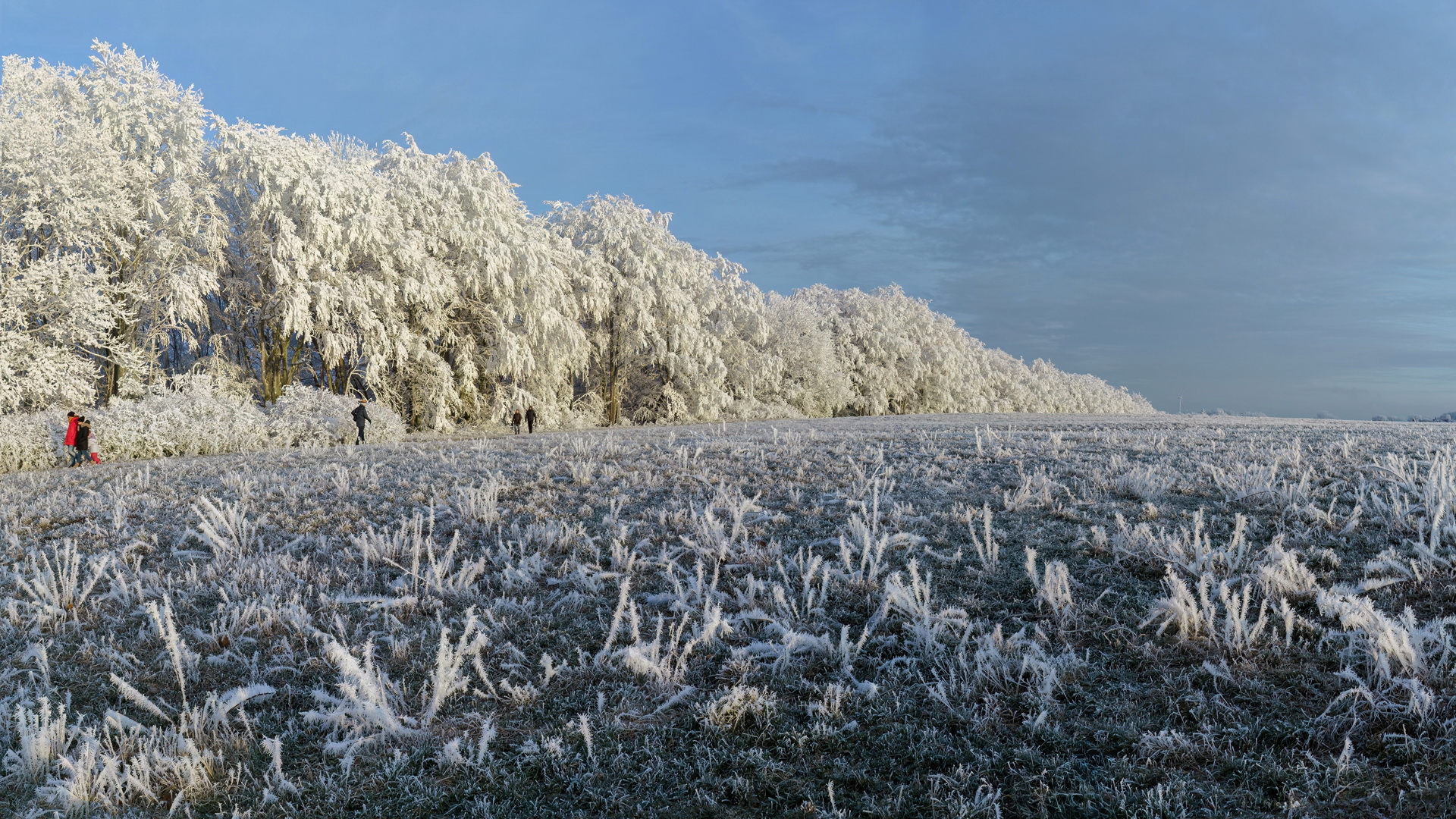 Eiswelten