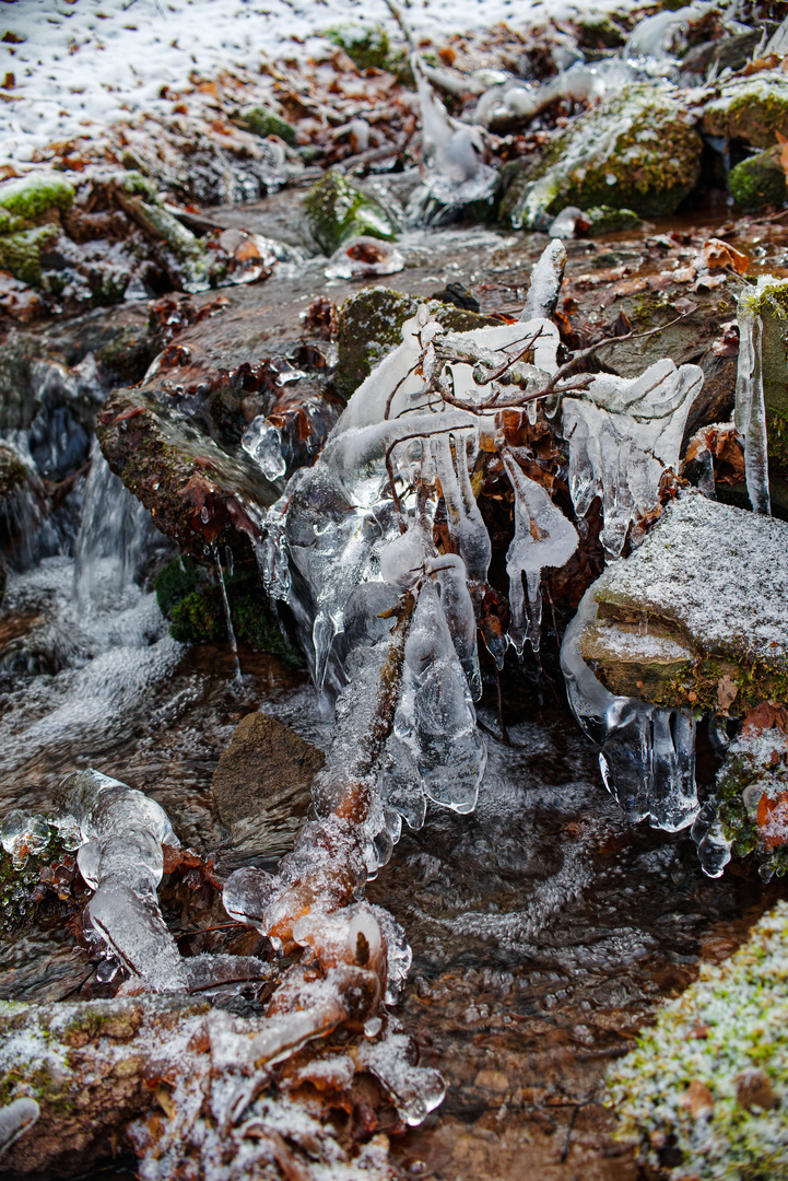 Eiswelten im Waldbach