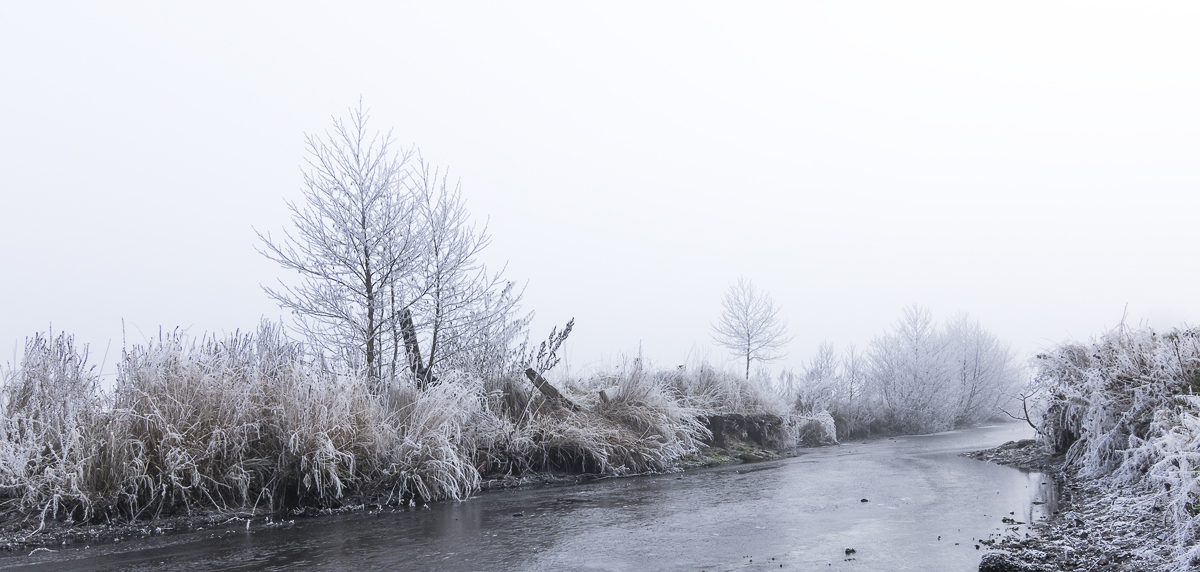 Eiswelten in den Moorwiesen