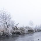 Eiswelten in den Moorwiesen