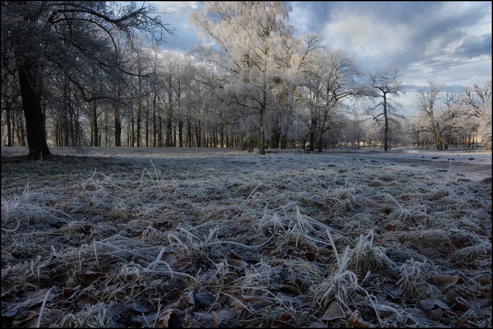 Eiswiese