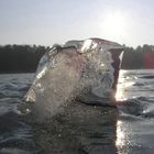 Eiswürfel auf der Müritz