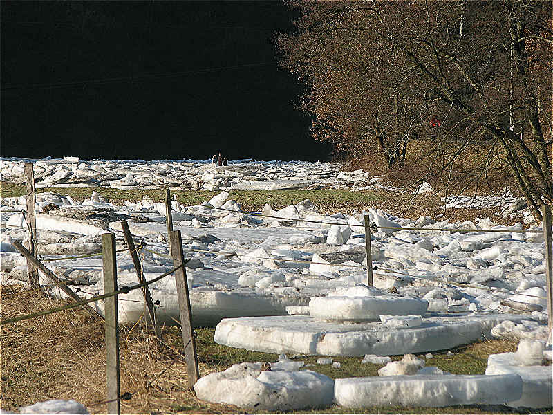 eiswüste an der nister bei thal