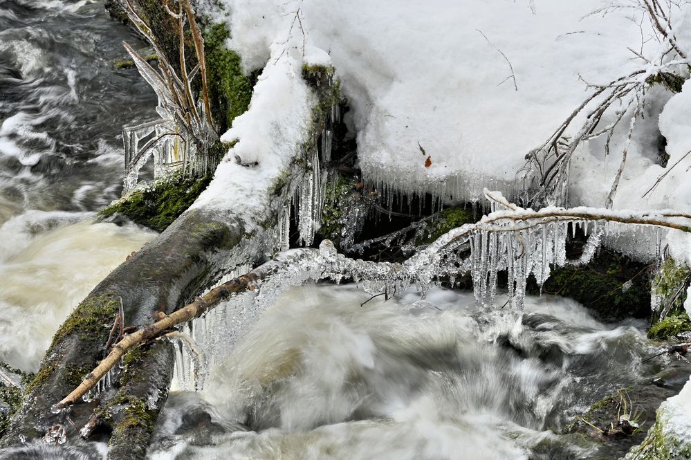 Eiszähne....