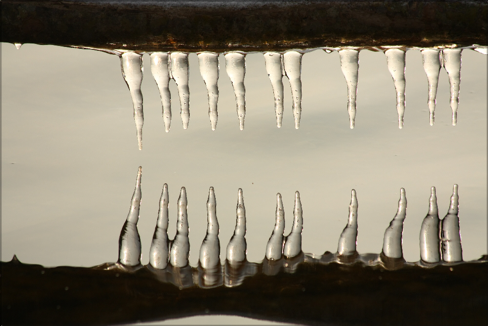 Eiszähne oder das Krokodil vom Bodensee