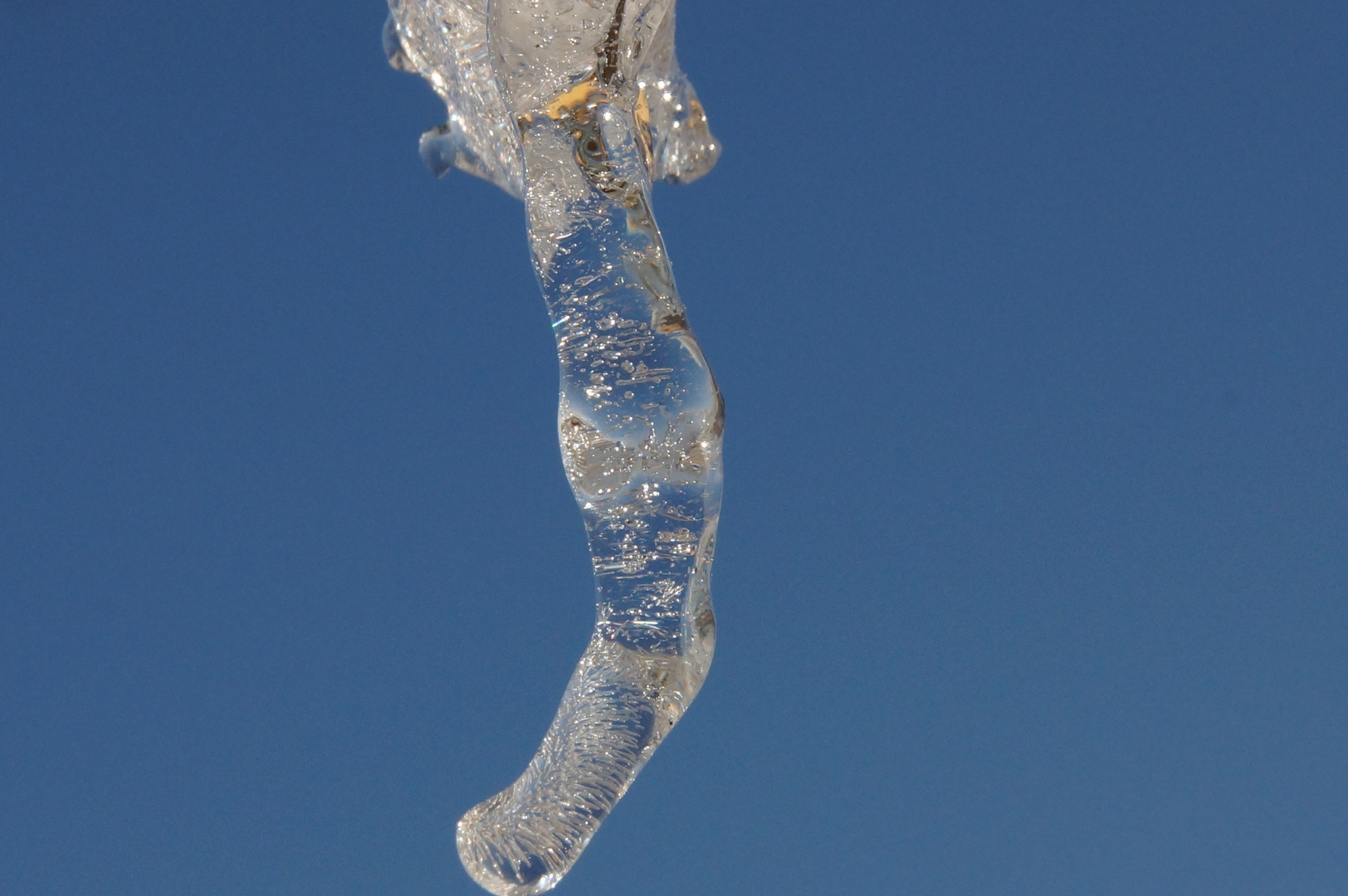 Eiszäpfchen vor dem Tauen