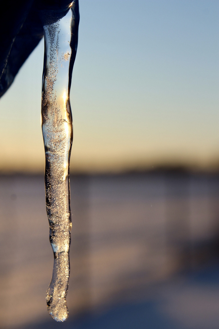 Eiszapfen 1