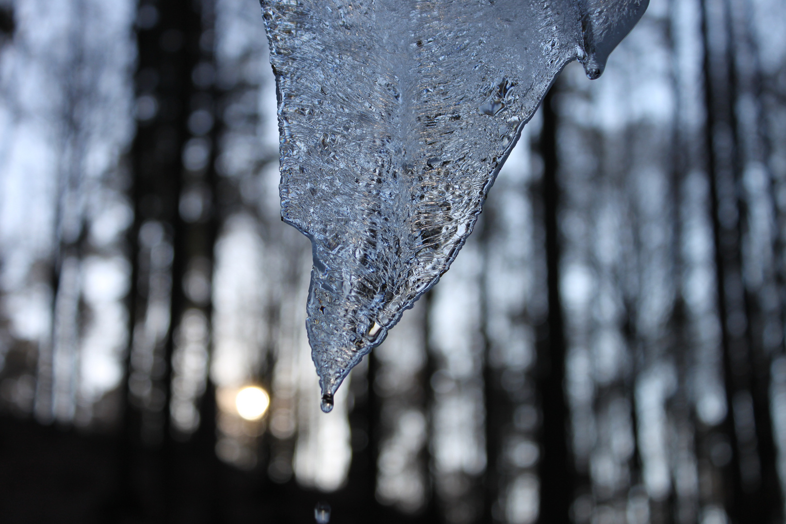 Eiszapfen