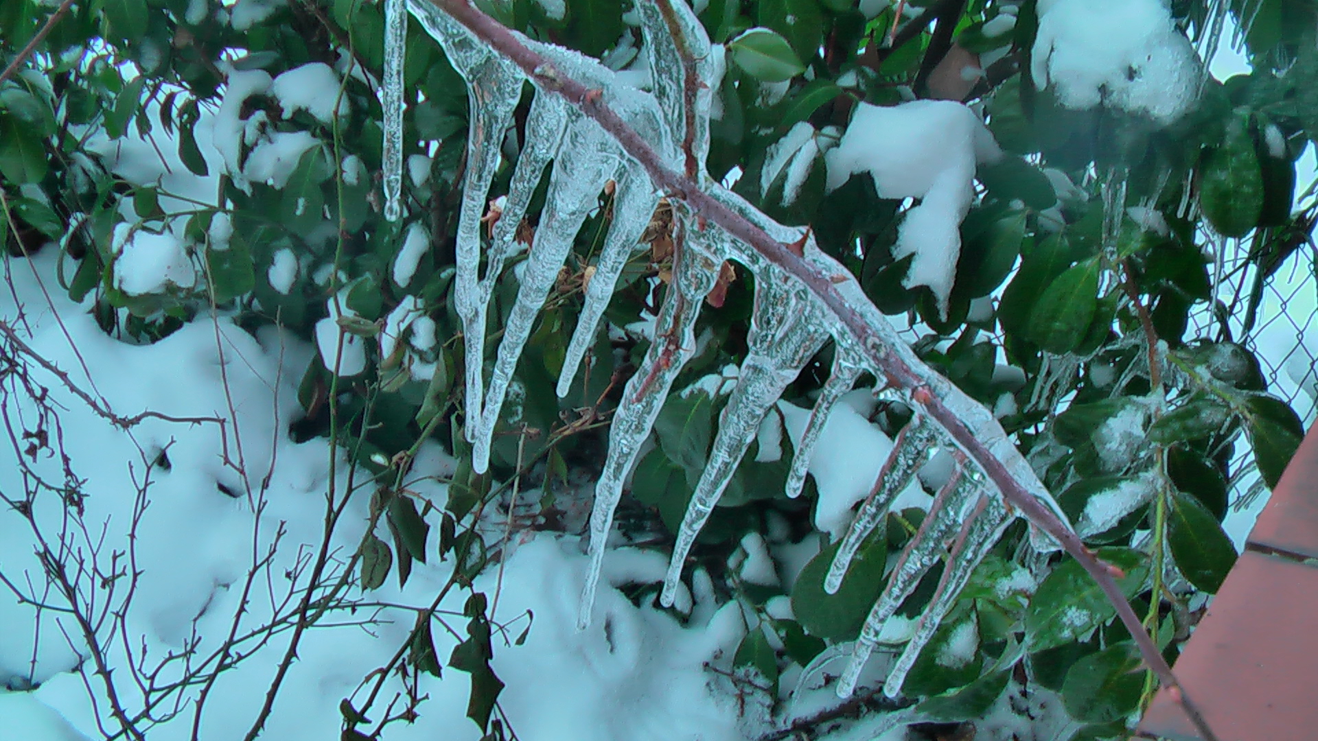 *Eiszapfen*