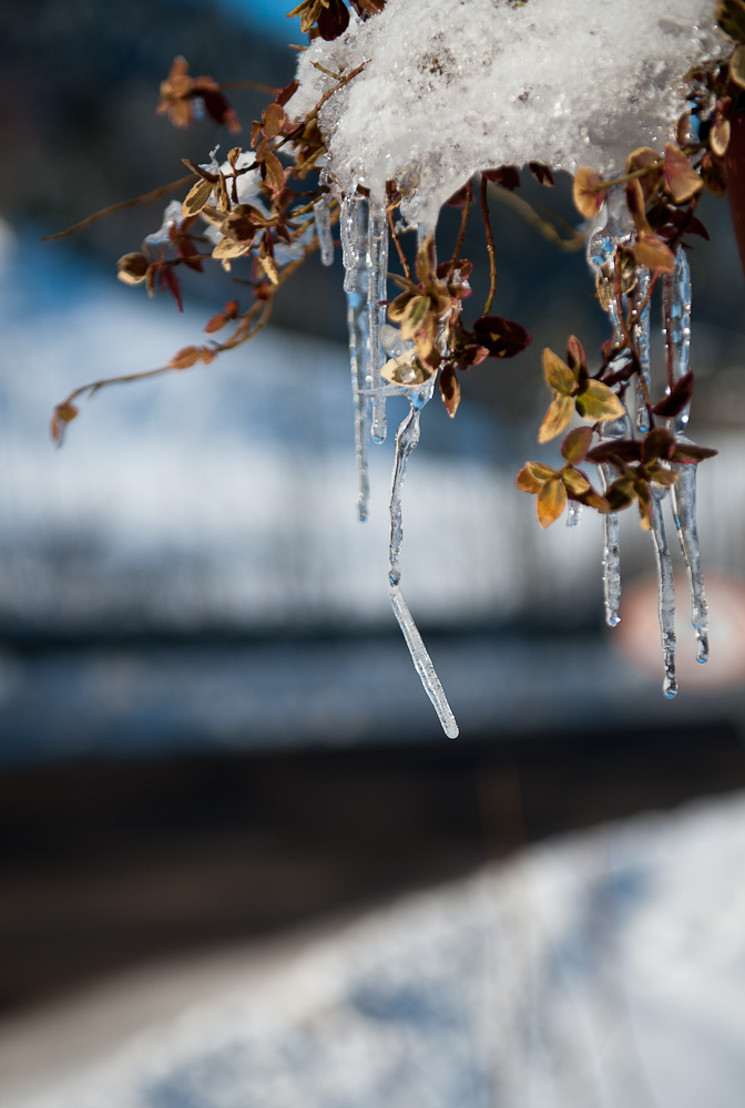 Eiszapfen