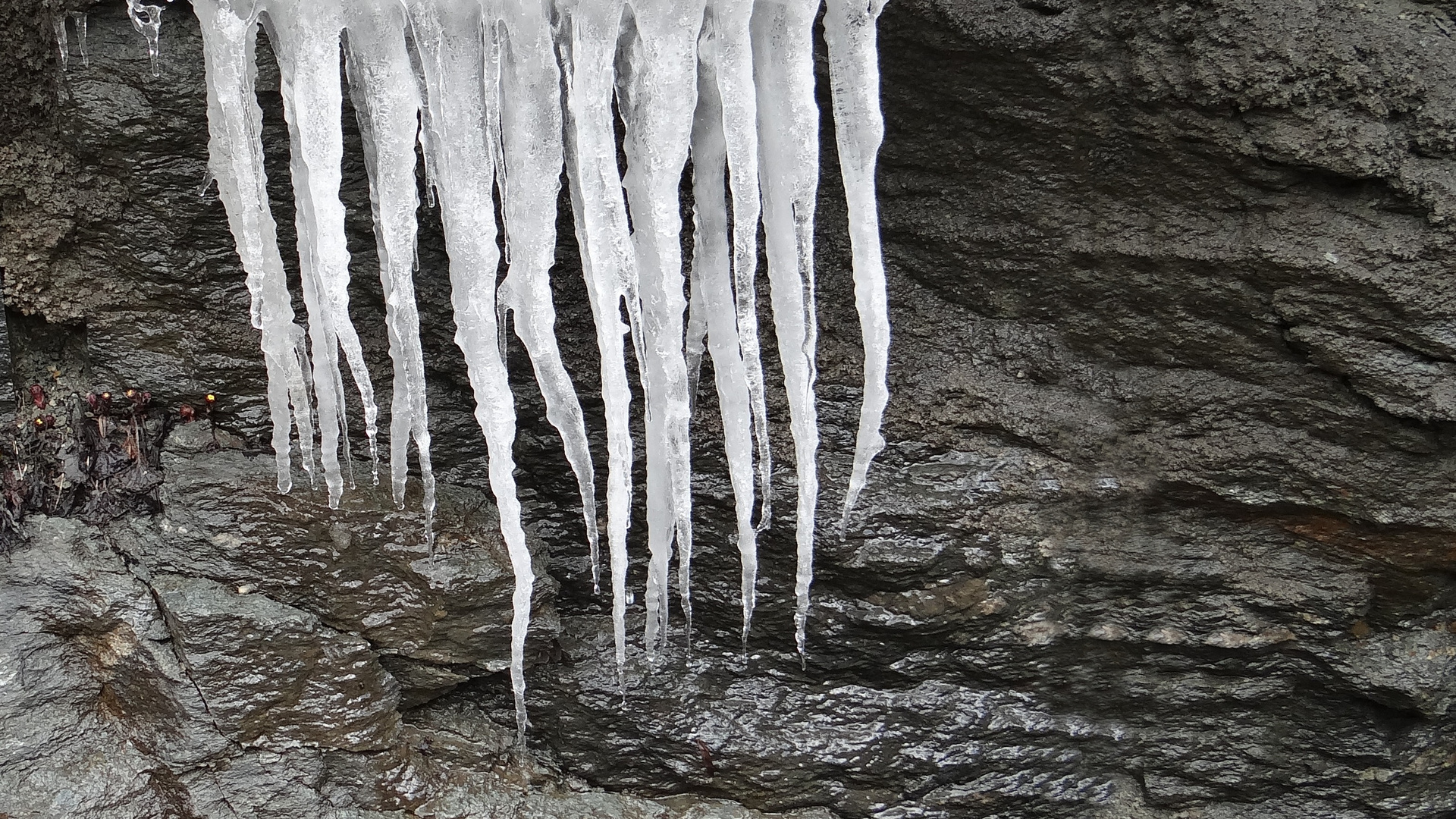 Eiszapfen