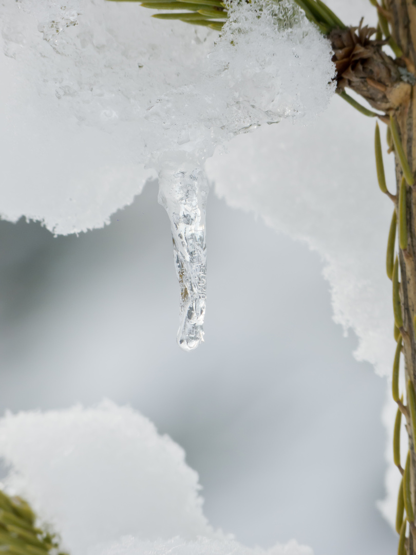 Eiszapfen