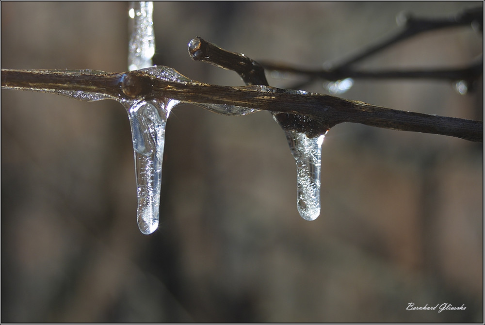 Eiszapfen