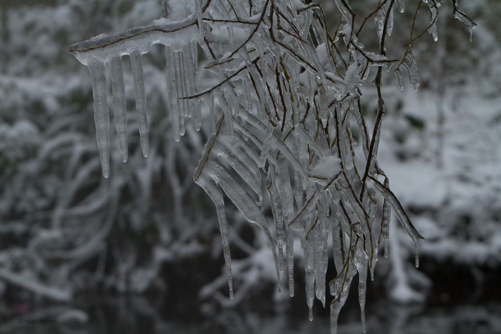 Eiszapfen