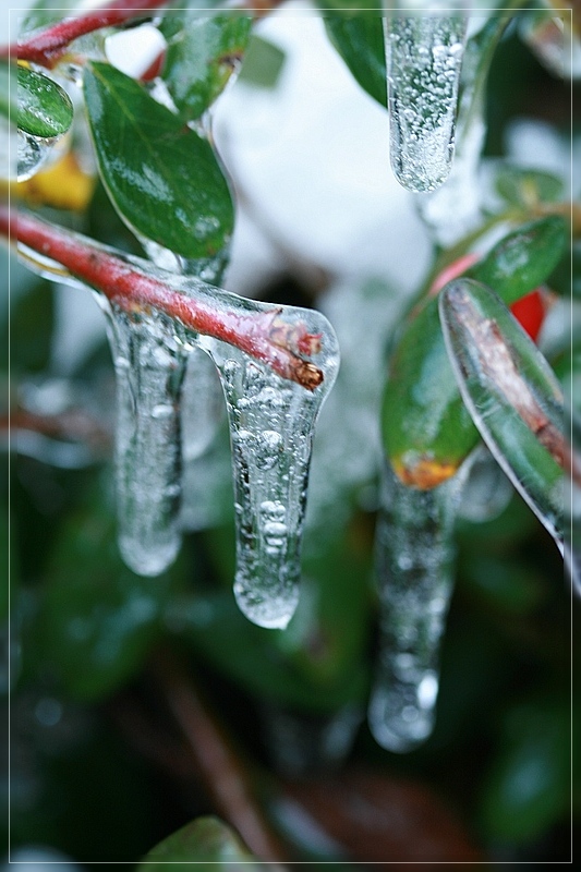 Eiszapfen