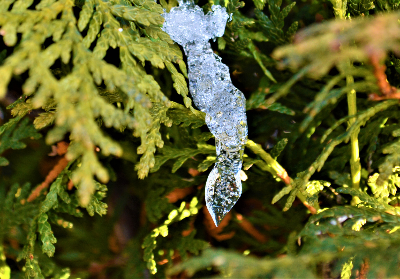 ...Eiszapfen...