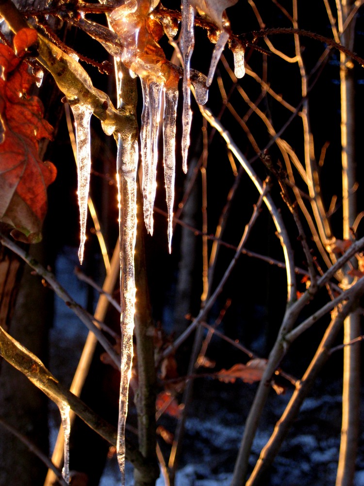 Eiszapfen