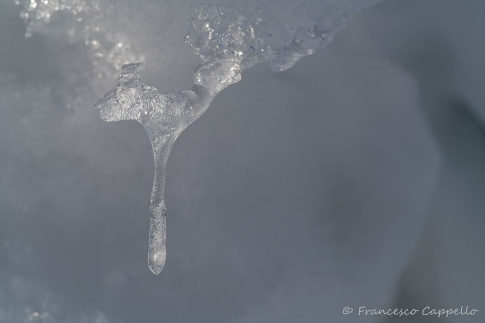 Eiszapfen