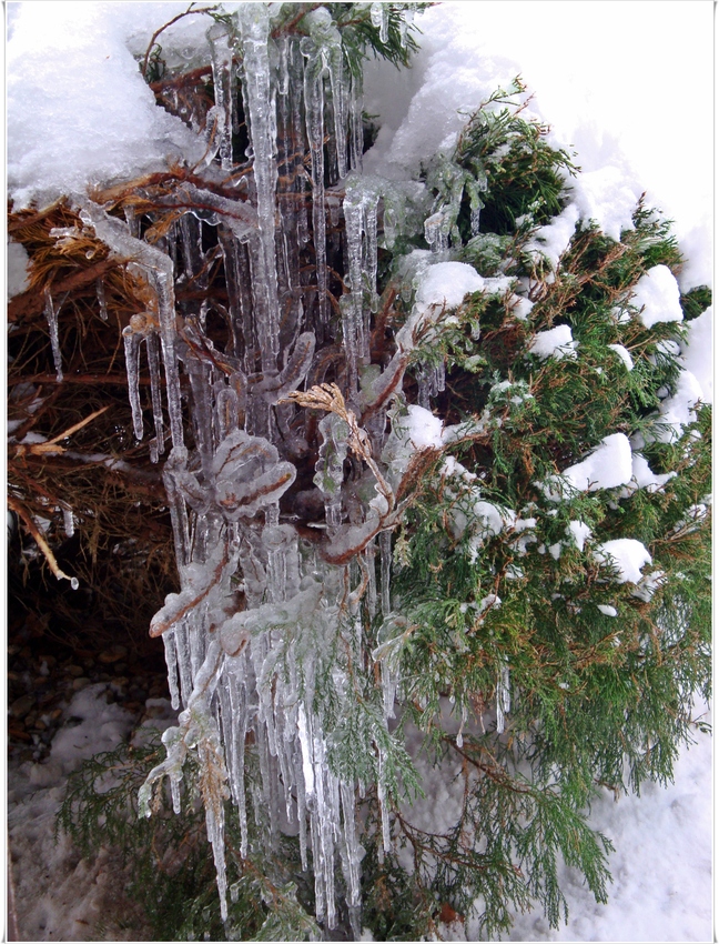 Eiszapfen