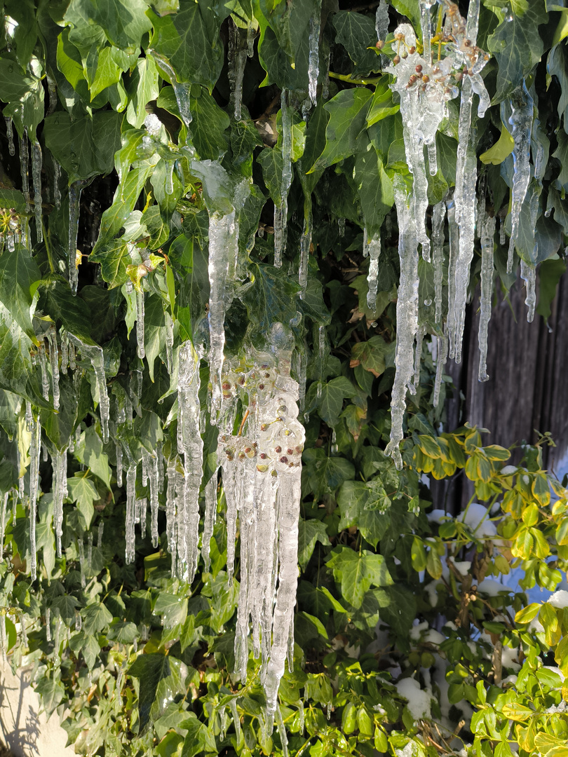 Eiszapfen 