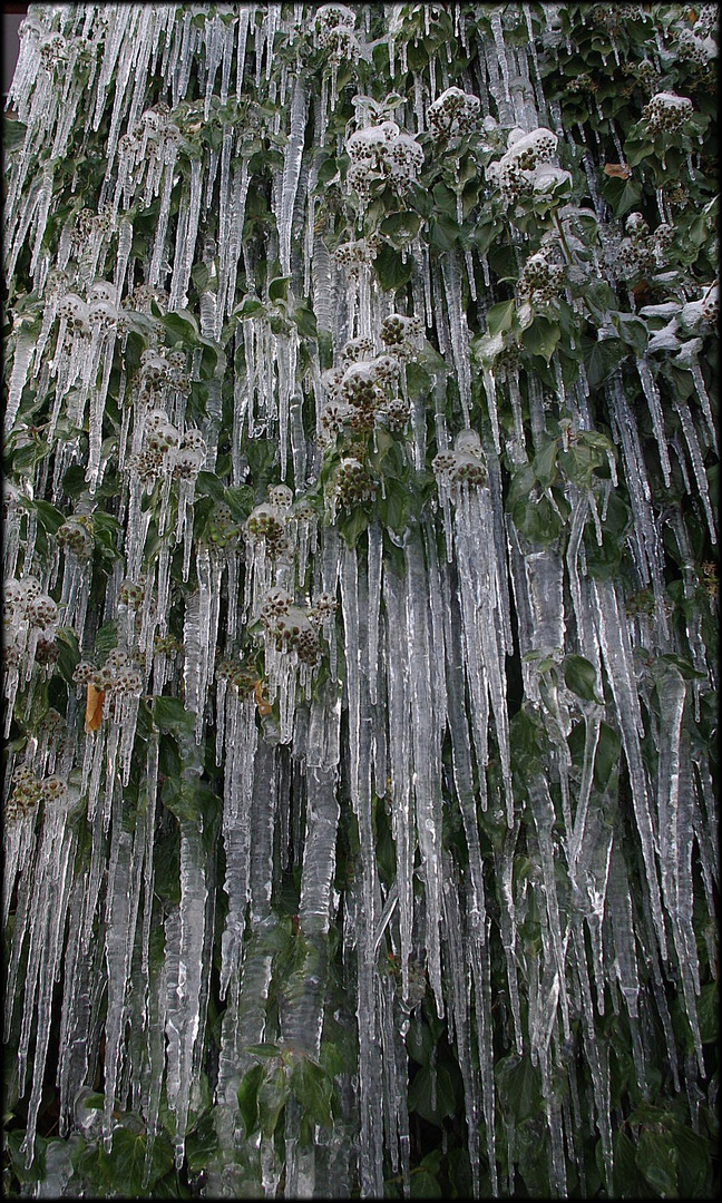 Eiszapfen