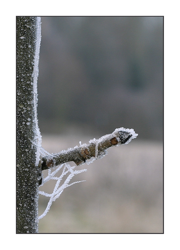 Eiszapfen :-)