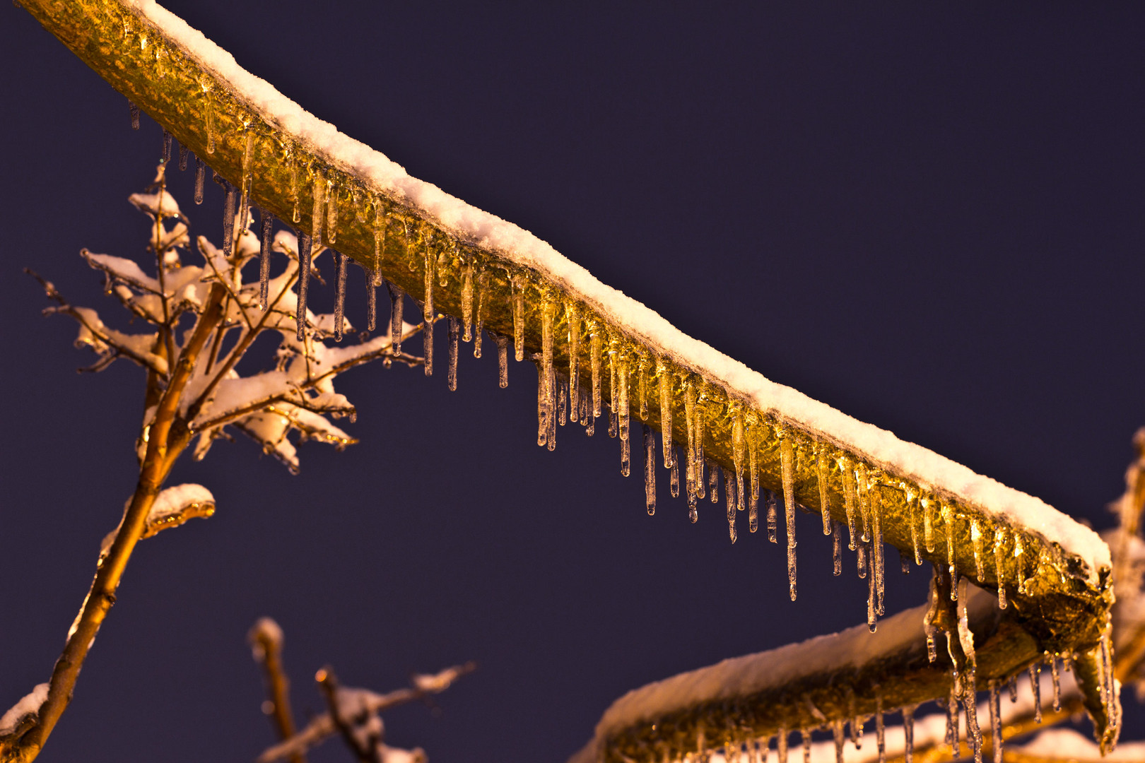 Eiszapfen am Ast