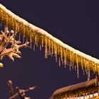 Eiszapfen am Ast