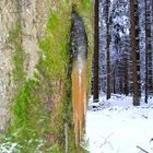 Eiszapfen am Baum