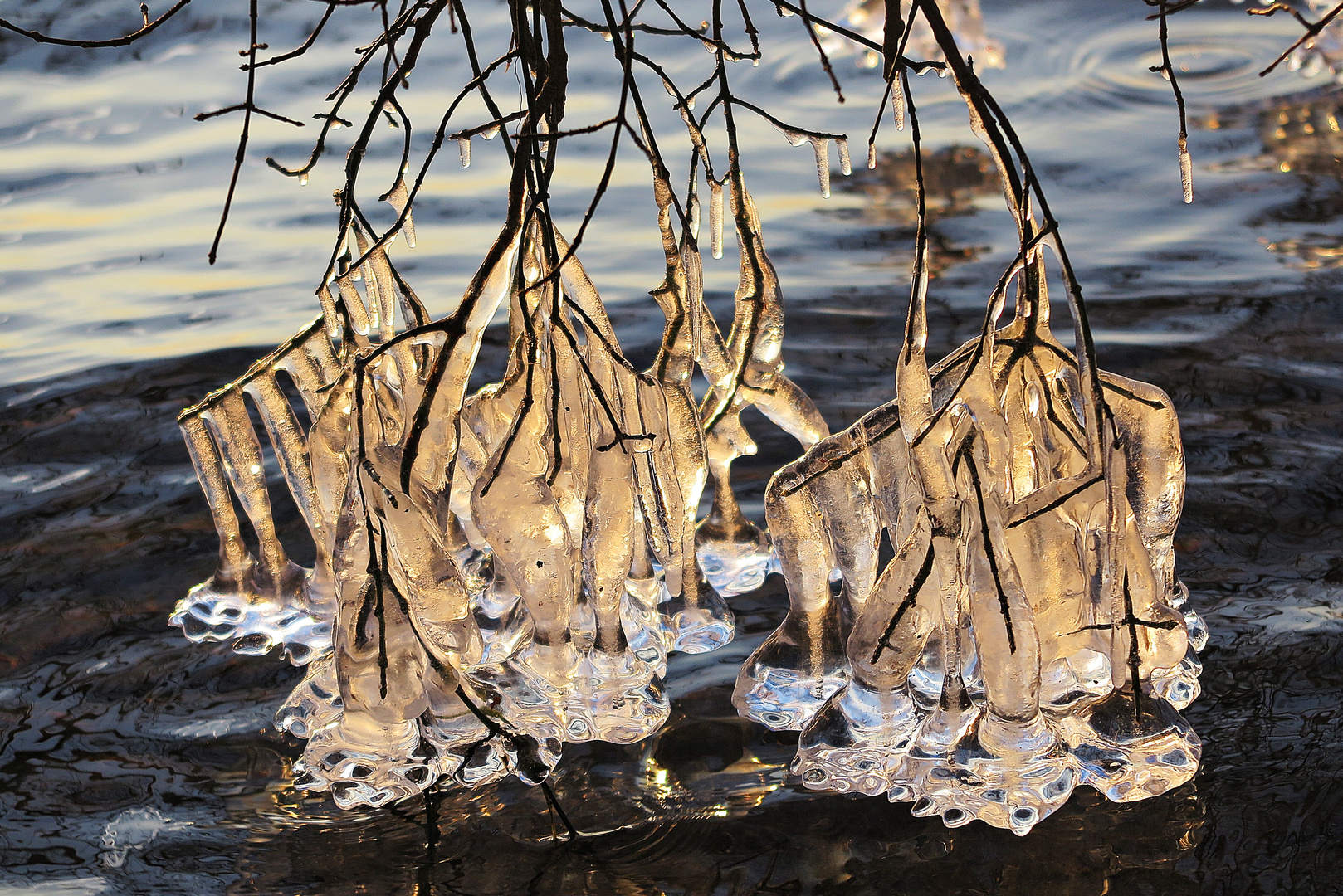 Eiszapfen am Großen Plöner See im Januar 2016