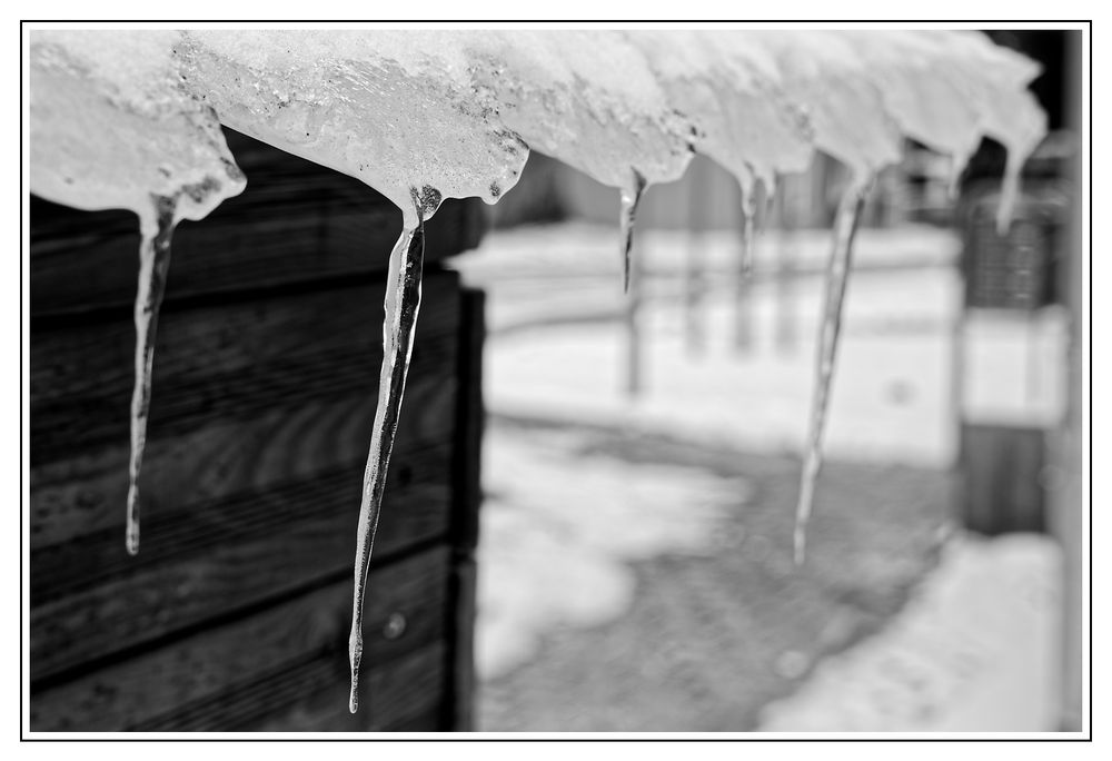 Eiszapfen am Schuppen hinterm Haus