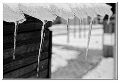 Eiszapfen am Schuppen hinterm Haus