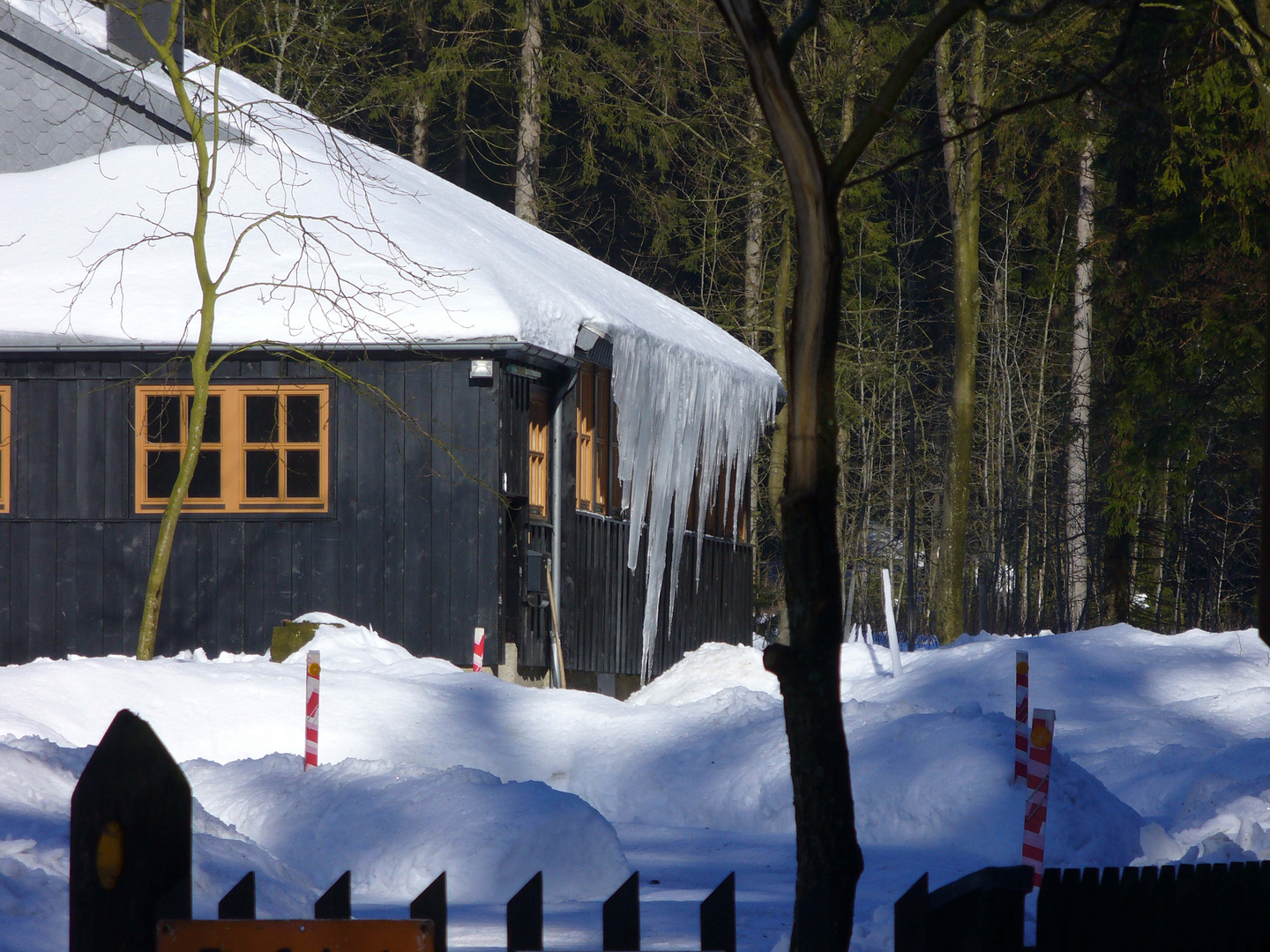 Eiszapfen an der Achtermannloipe