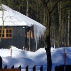 Eiszapfen an der Achtermannloipe