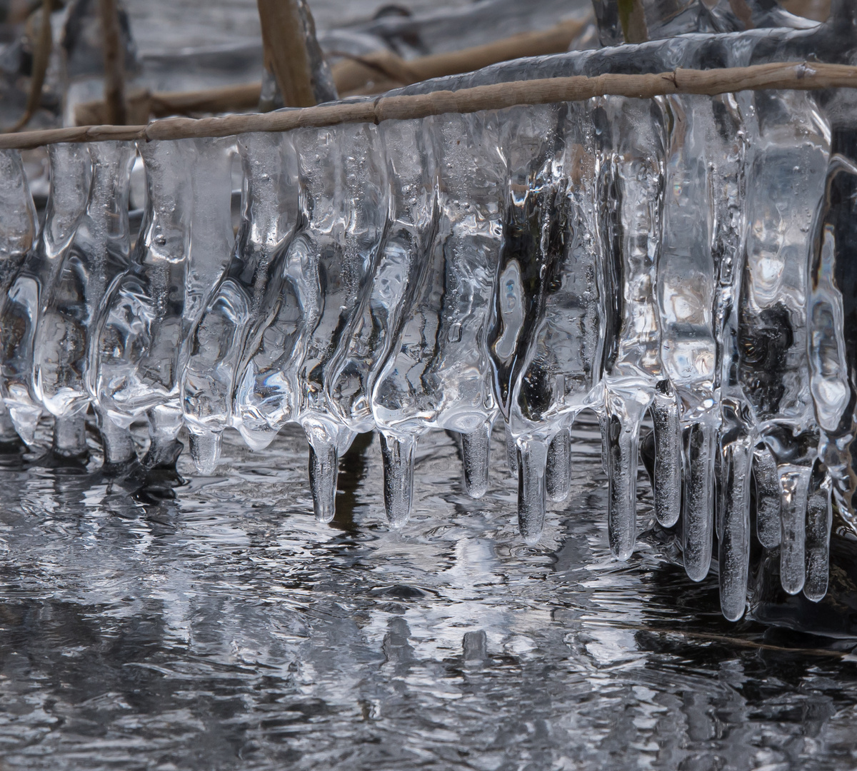 Eiszapfen an Eiszapfen