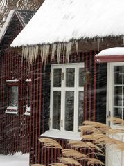 Eiszapfen auf Hiddensee